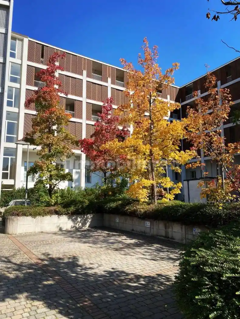 Appartamento in affitto a Parma