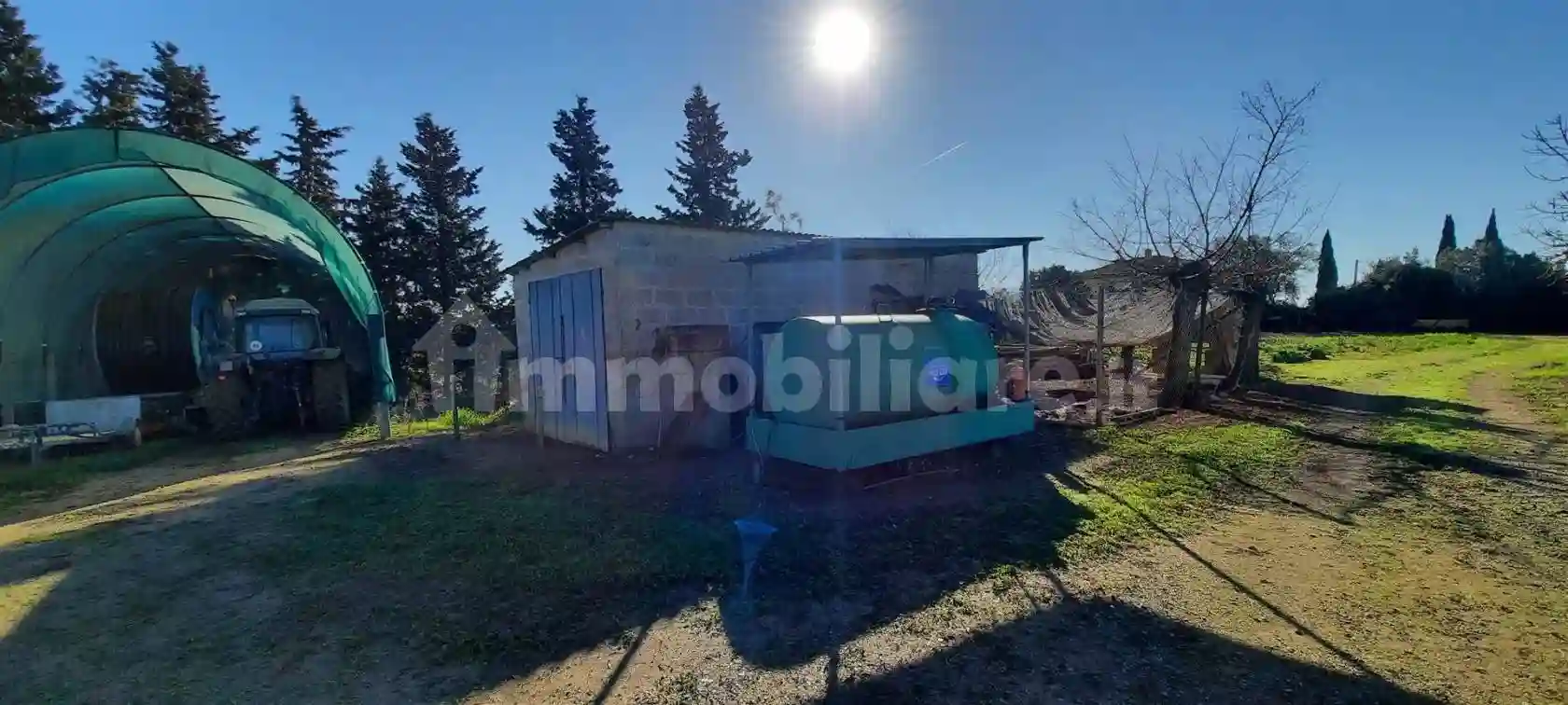 Rustico - Casale - foto 4