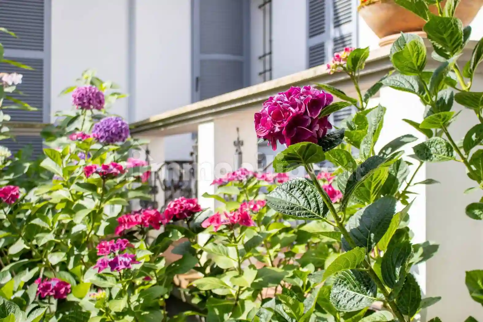 Palazzo - Edificio - foto 5