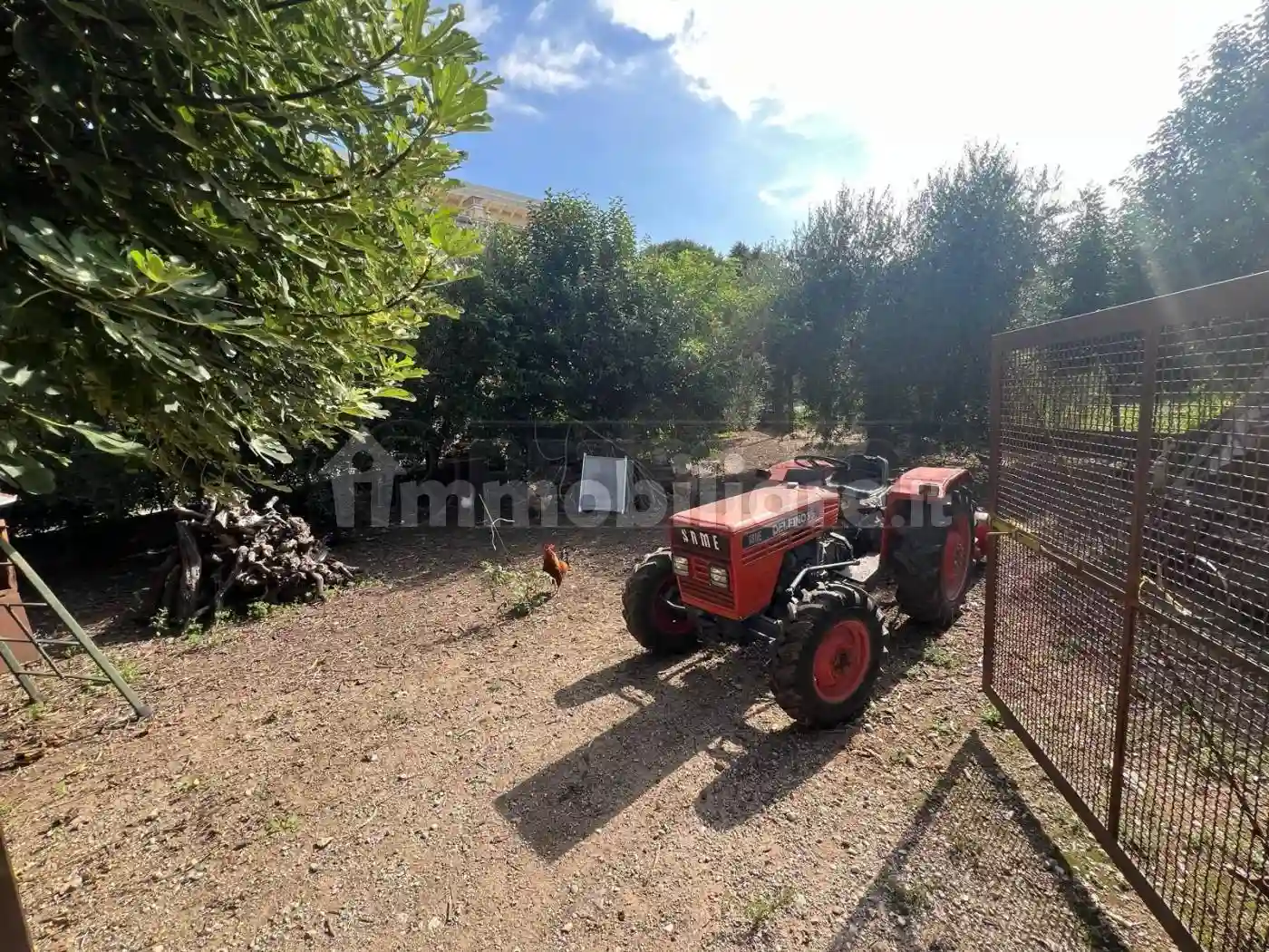 Rustico - Casale - foto 4