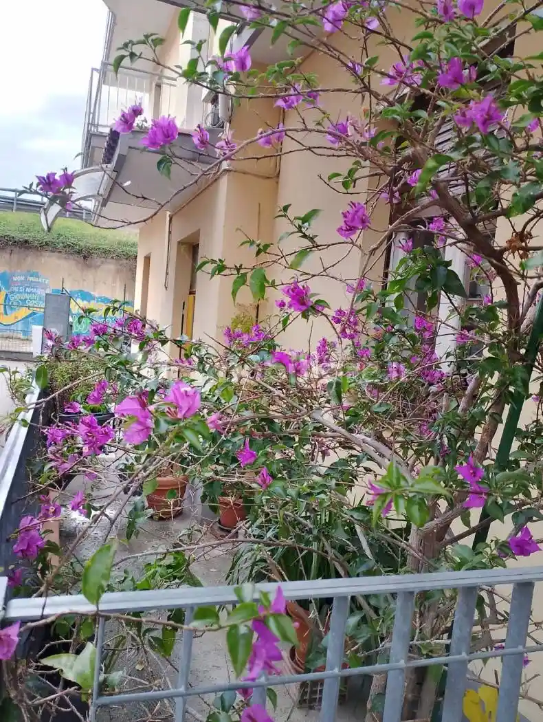 Appartamento in vendita a Pescara