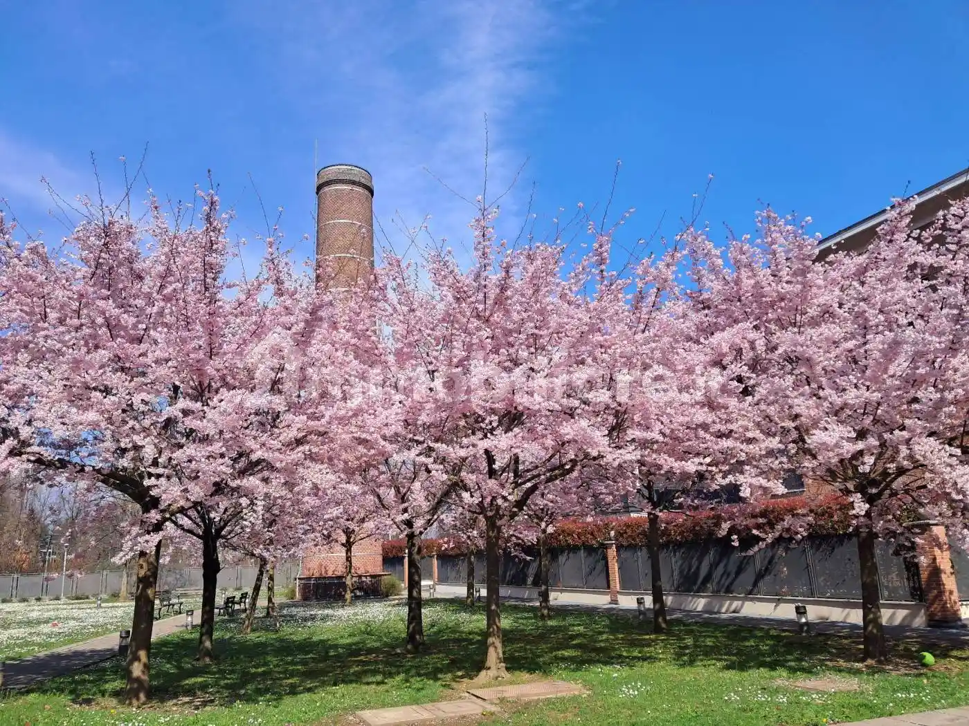 Appartamento in vendita a Cassano Magnago
