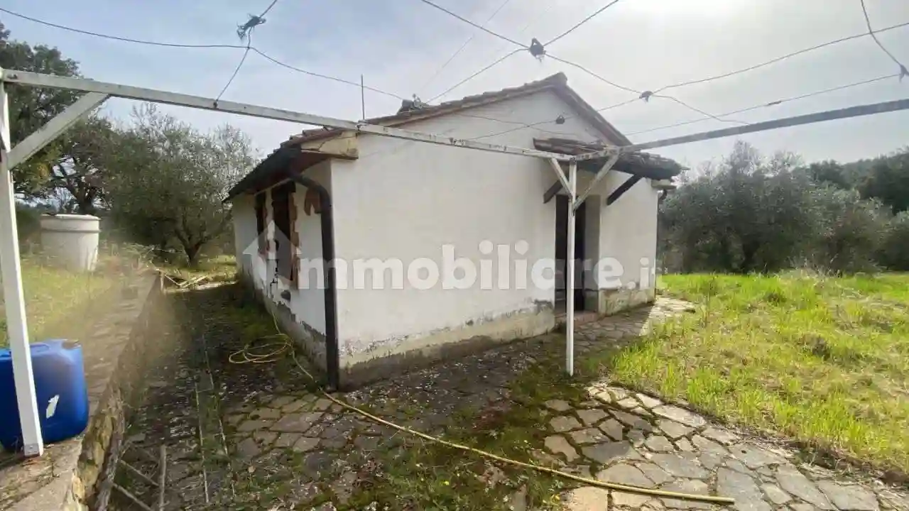 Rustico - Casale - foto 5