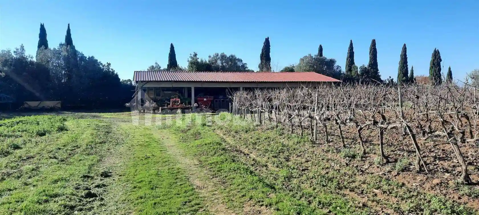 Rustico - Casale - foto 5