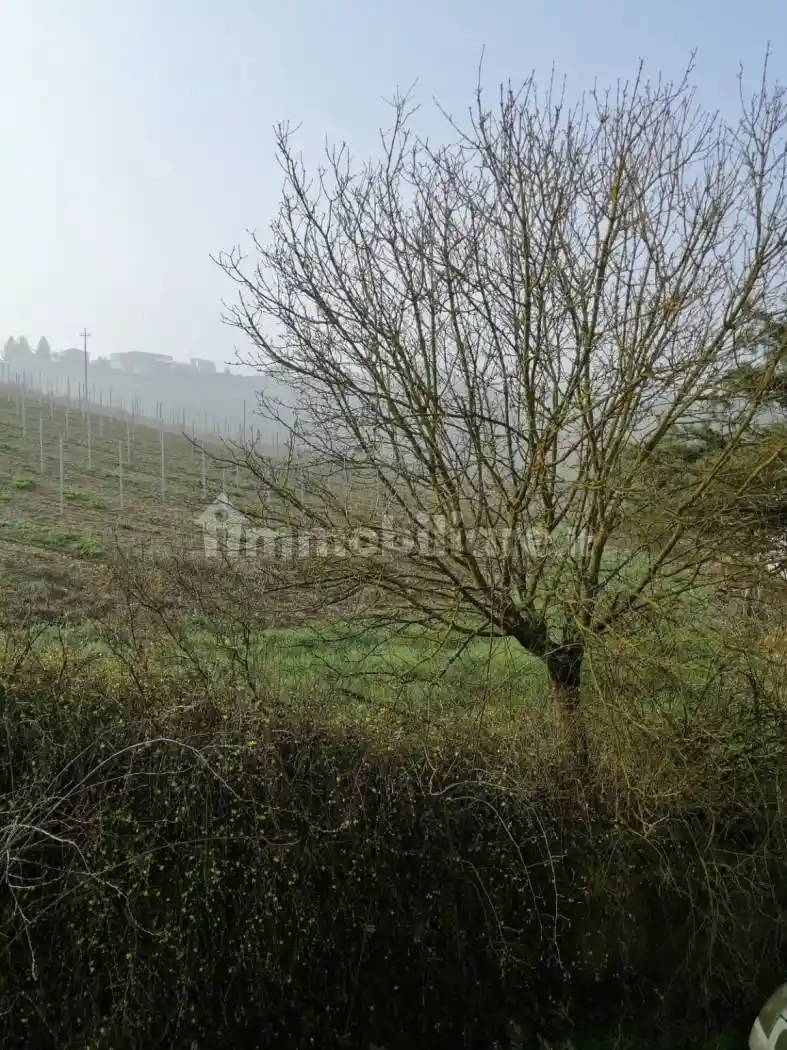 Rustico - Casale in vendita a Maranzana