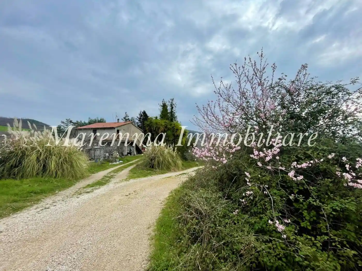 Rustico - Casale in vendita a Manciano