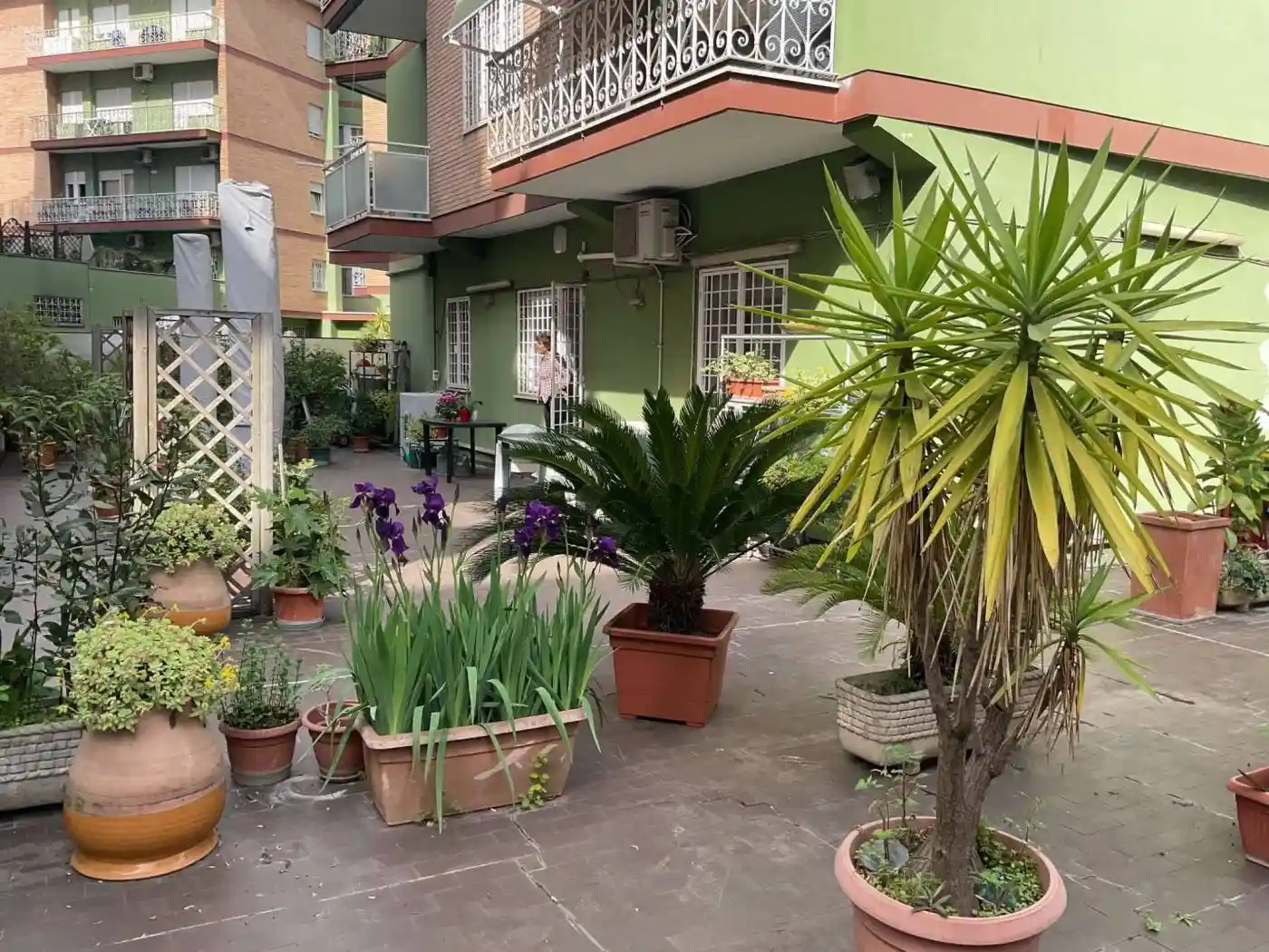 Appartamento in affitto a Roma