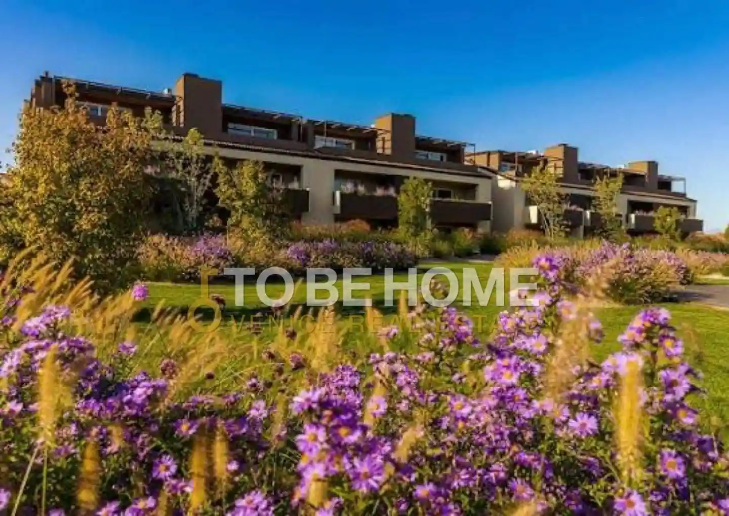 Casa indipendente in vendita a Castelfranco Veneto