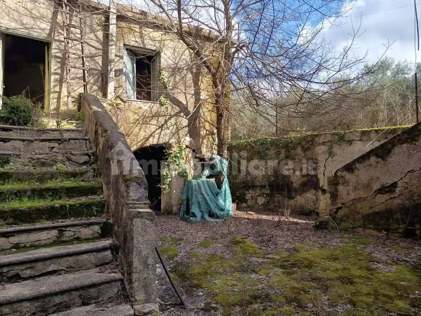 Rustico - Casale - foto 5