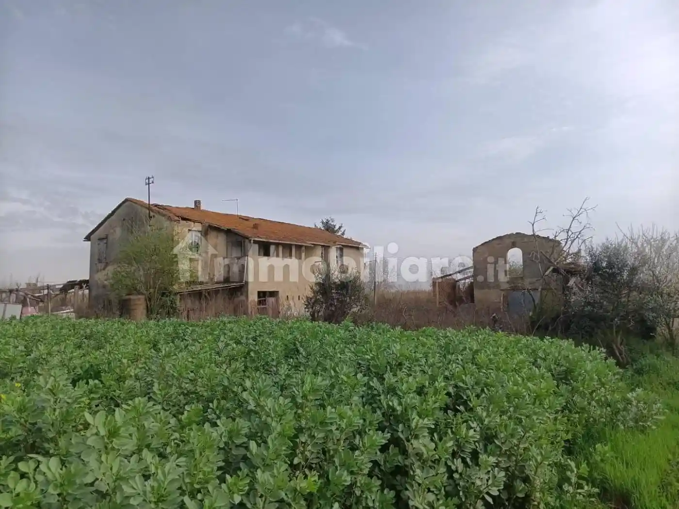 Rustico - Casale in vendita a Montopoli in Val d'Arno