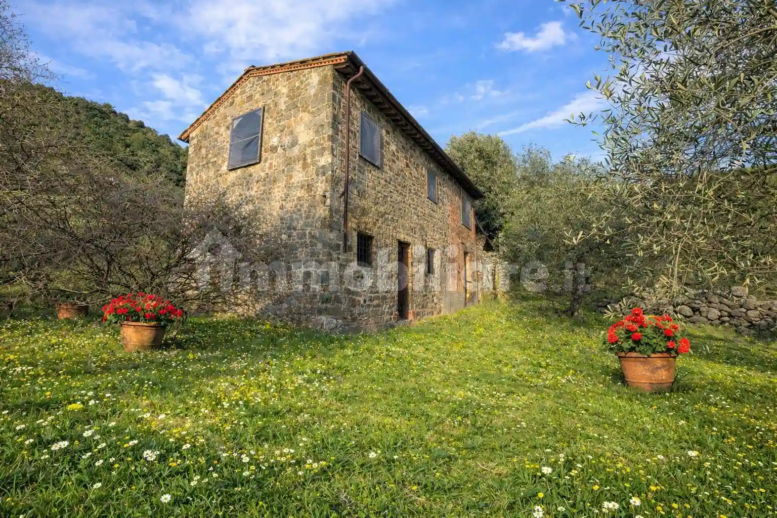 Rustico - Casale - foto 3