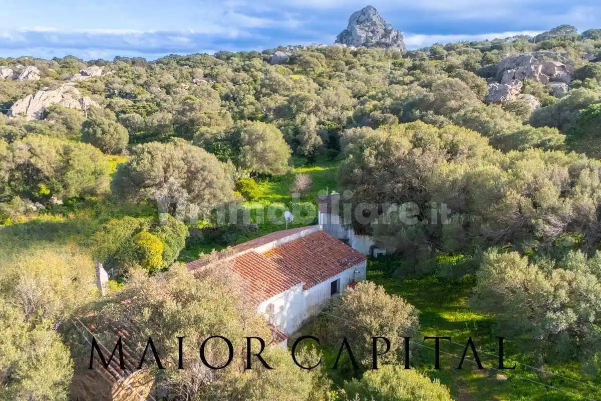Casa indipendente in vendita a Olbia