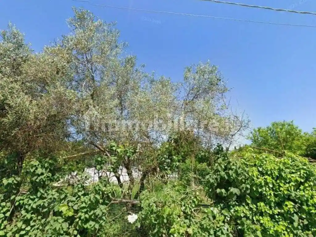 Villa in vendita a Anguillara Sabazia