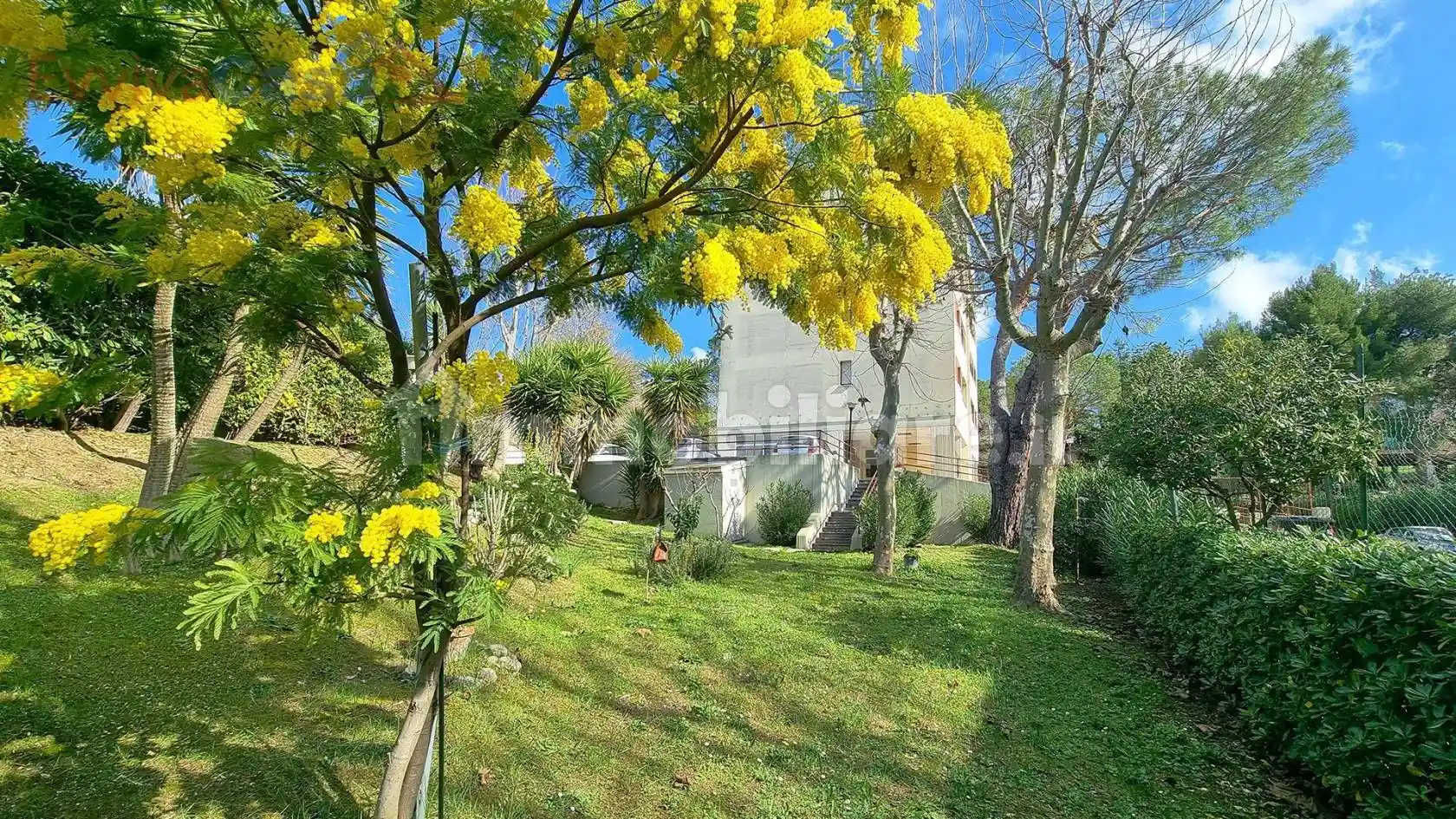 Appartamento in vendita a Ancona