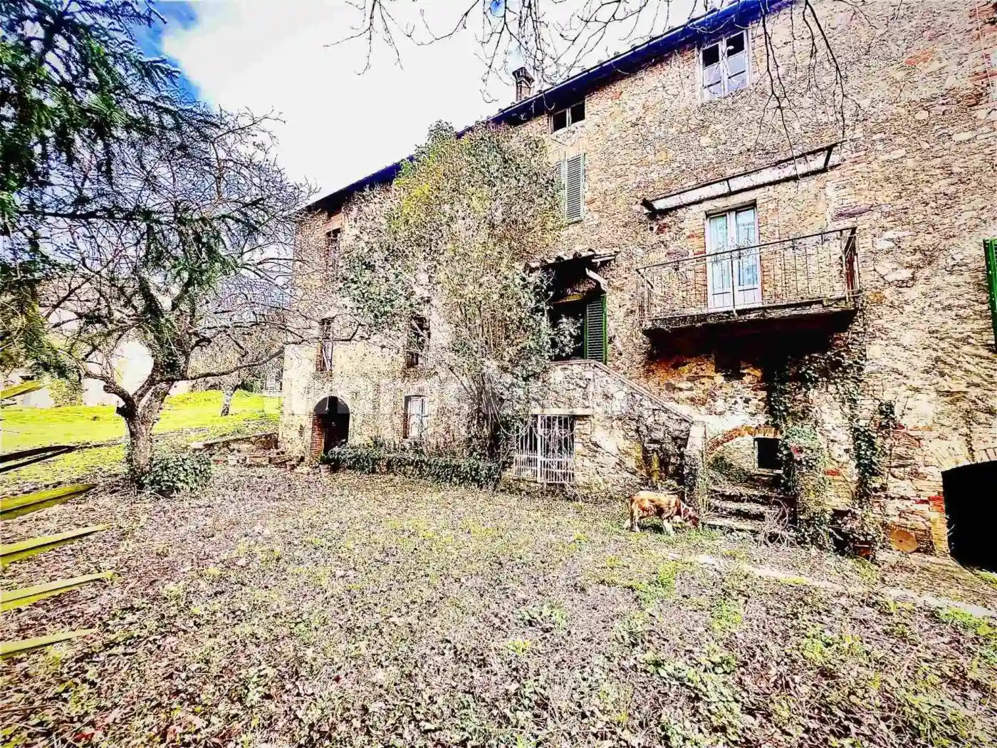 Rustico - Casale - foto 4