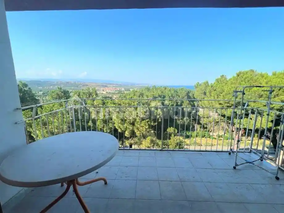 Appartamento in affitto a Stalettì