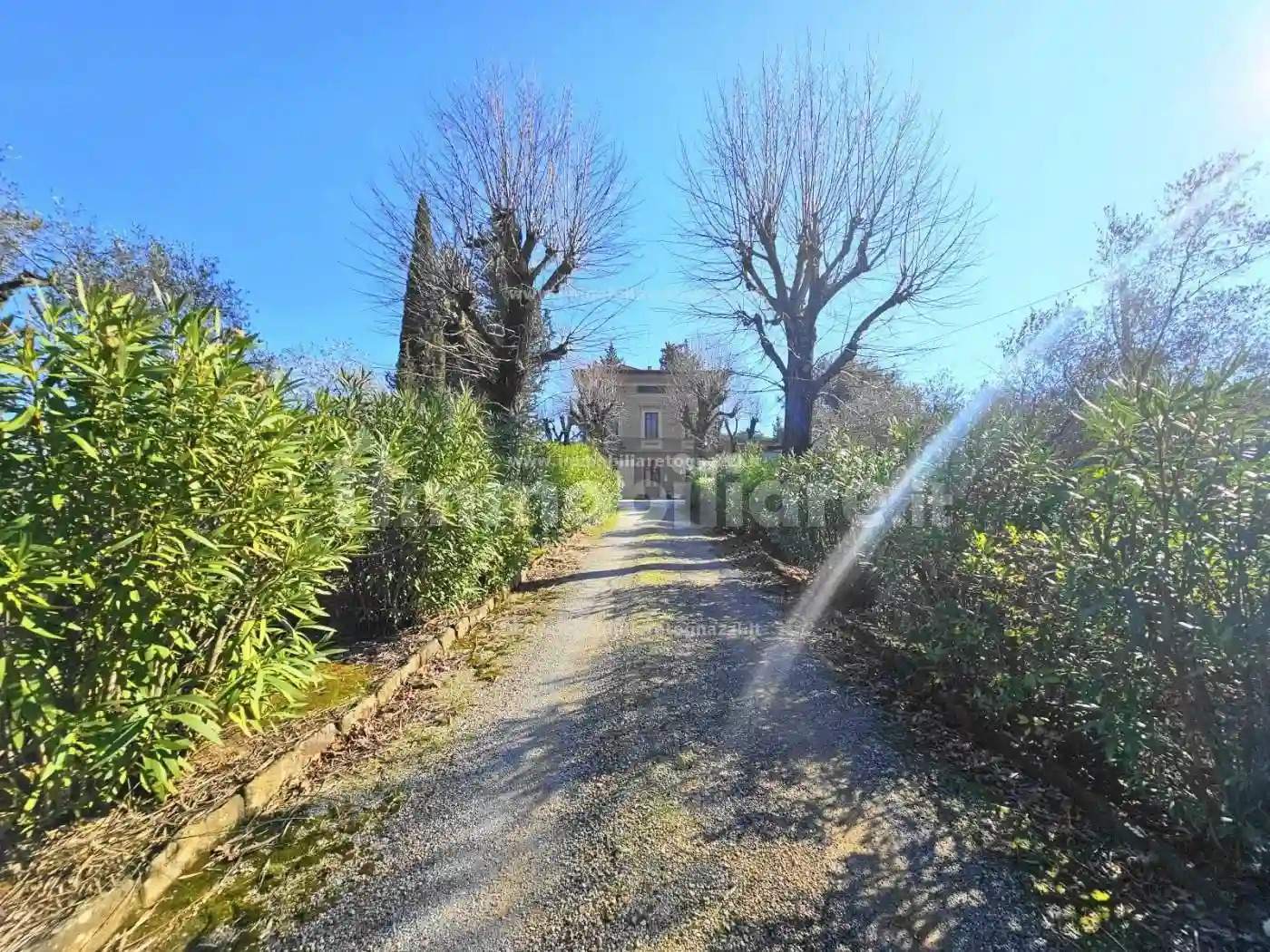 Palazzo - Edificio - foto 5