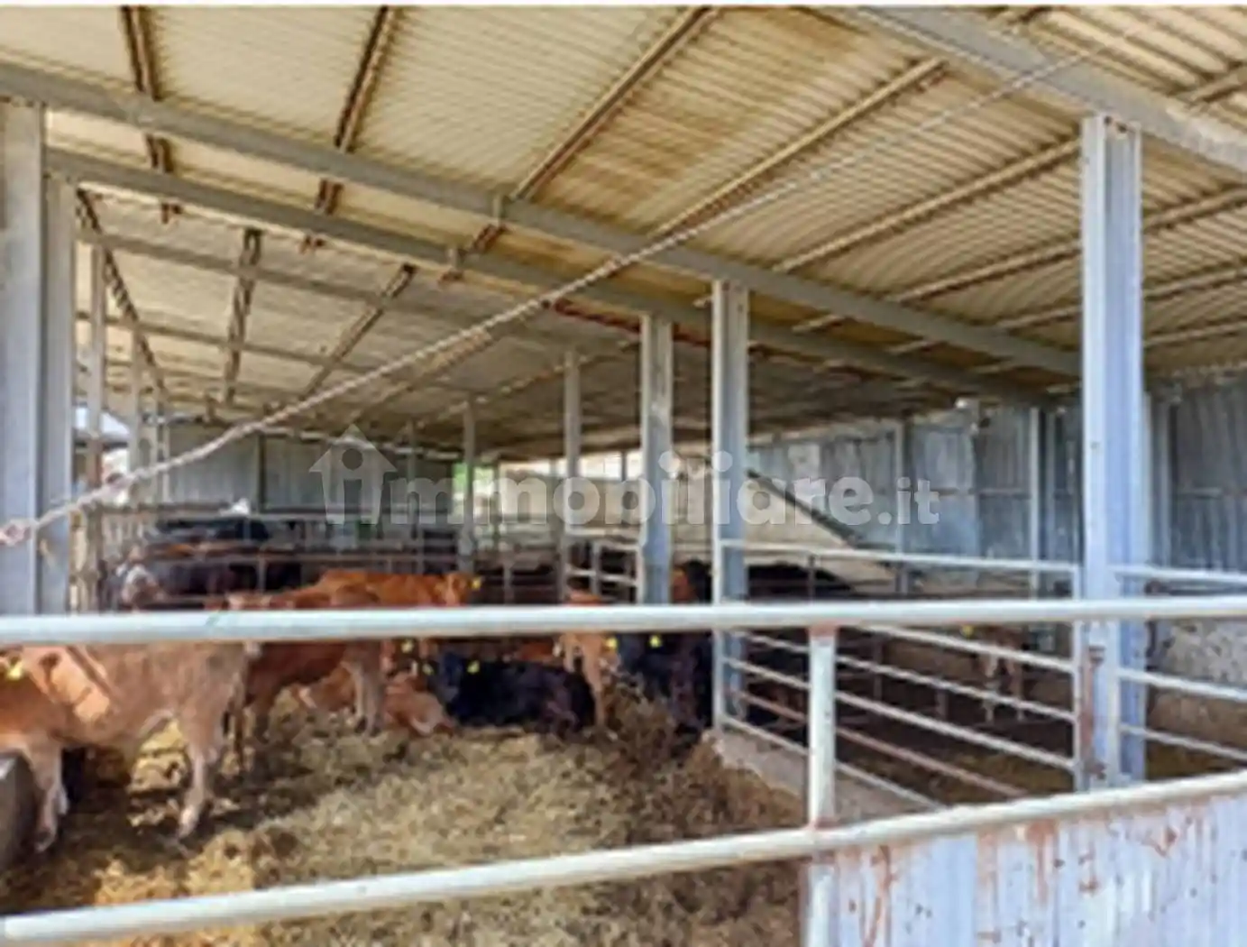 Appartamento in vendita a Pisticci