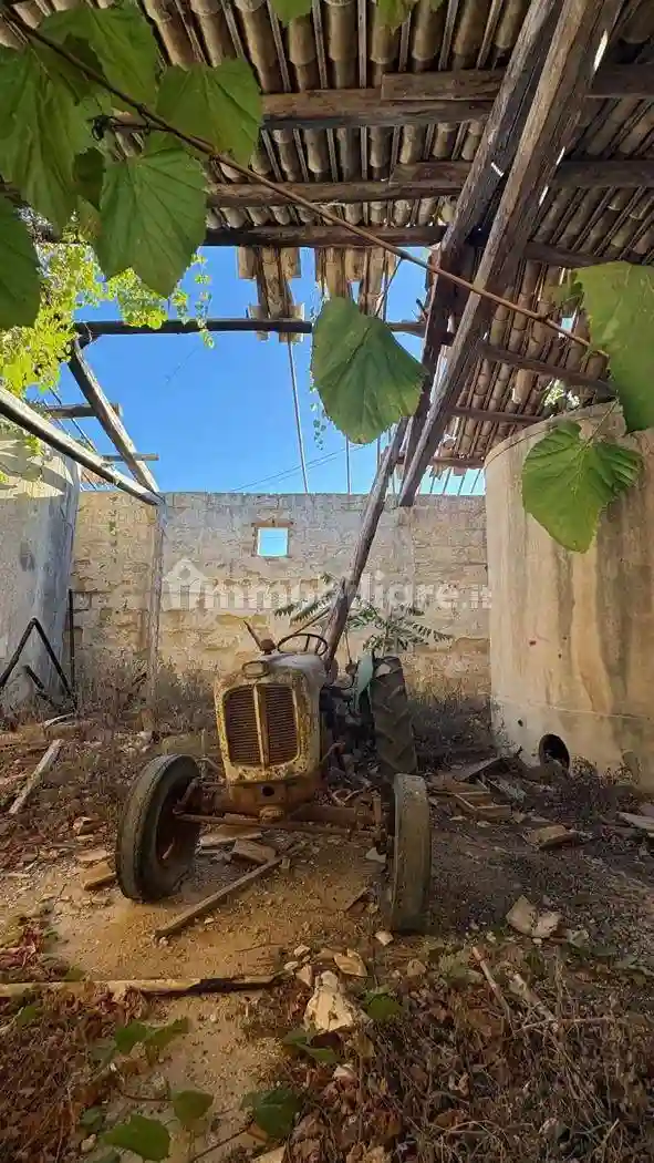 Palazzo - Edificio - foto 5