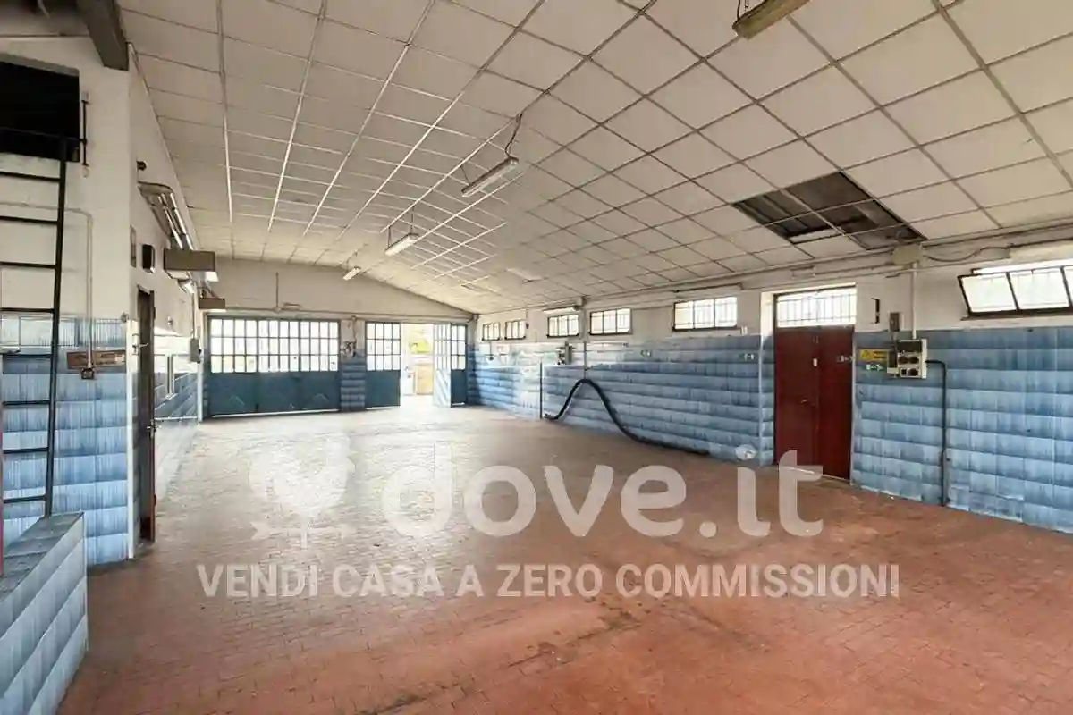 Casa indipendente - foto 5