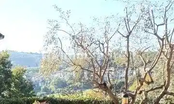 Appartamento in vendita a Carmignano