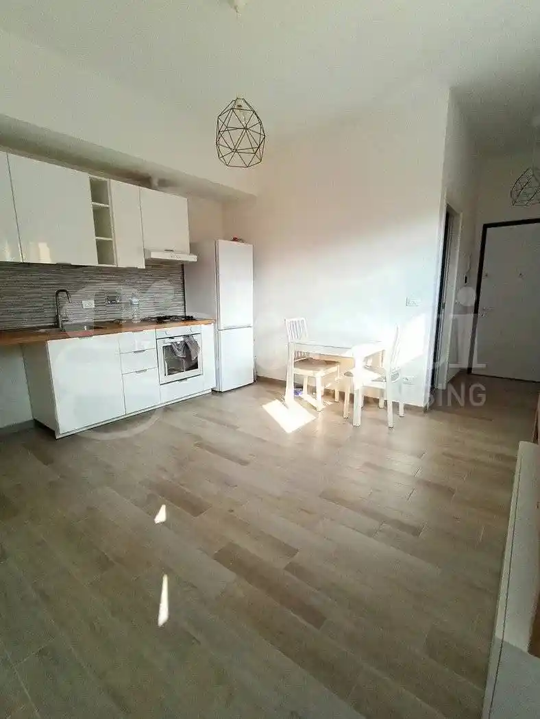 Appartamento in affitto a Bologna