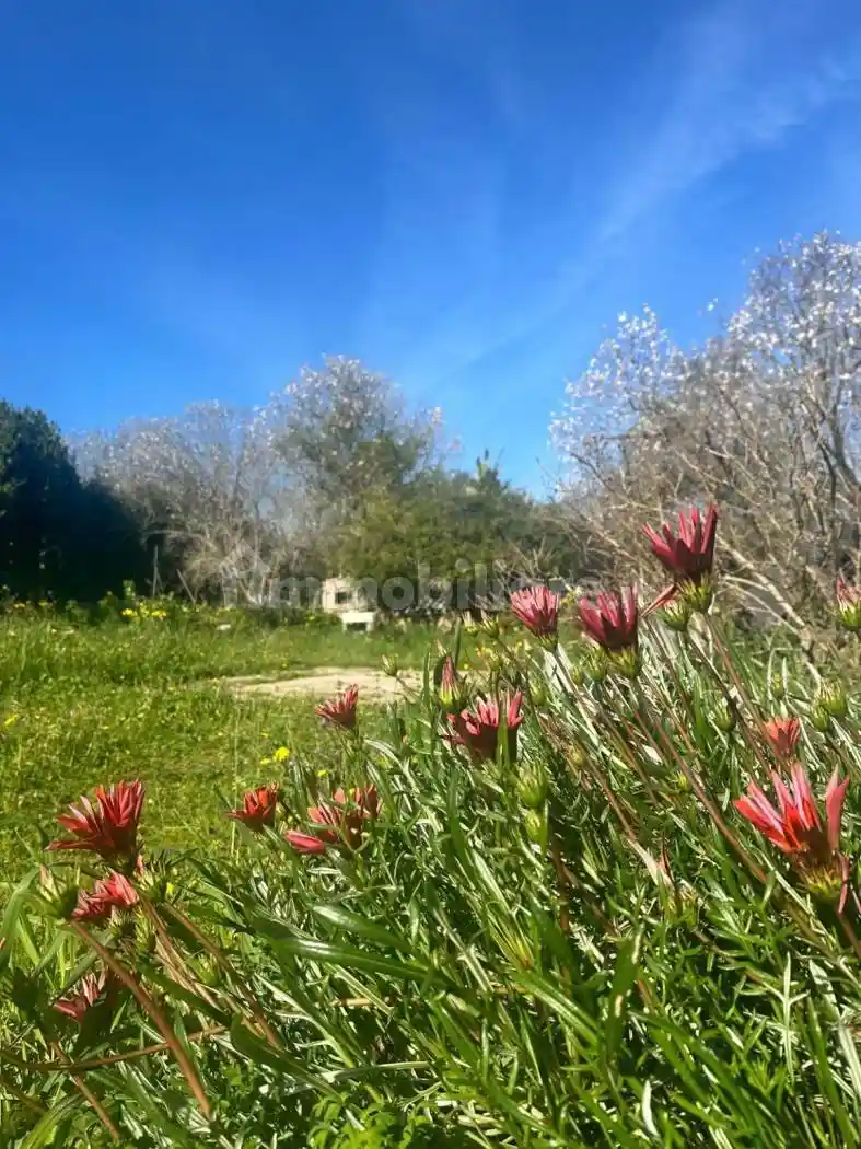 Rustico - Casale in vendita a Sassari