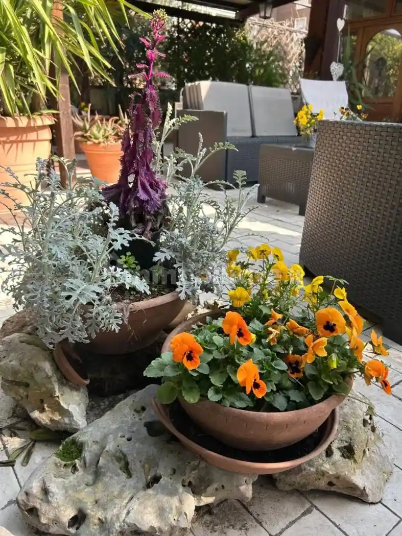 Attico - Mansarda in vendita a Bologna