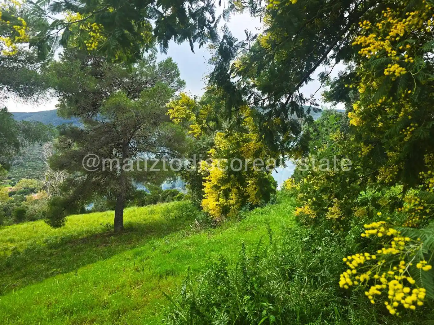 Villa in vendita a Monte Argentario
