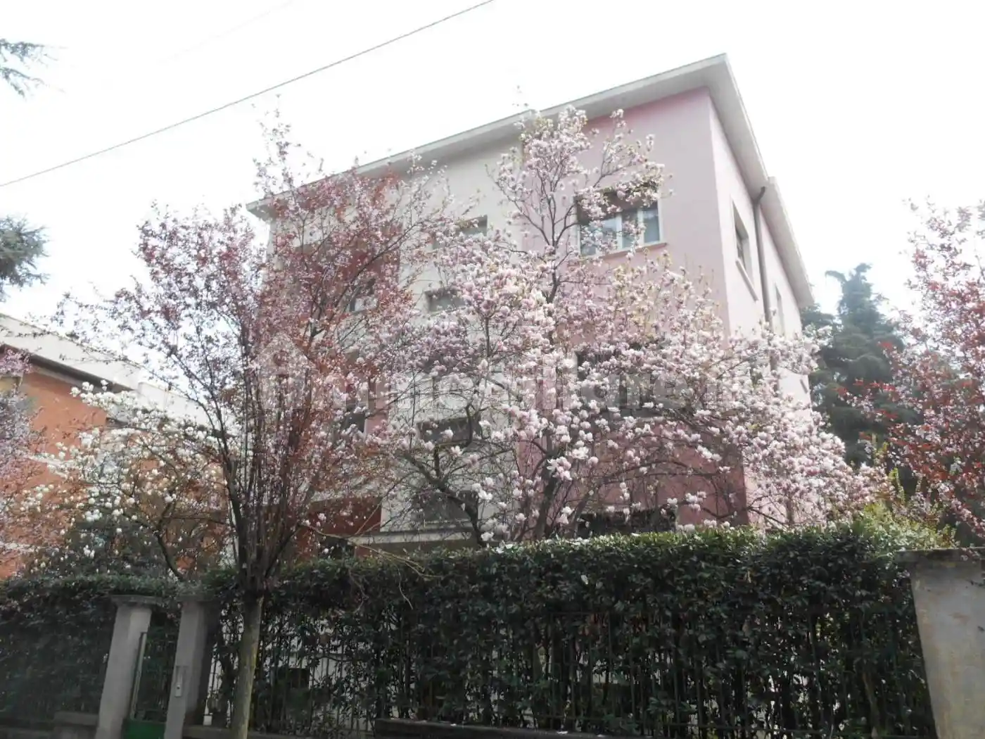 Appartamento in affitto a Bologna