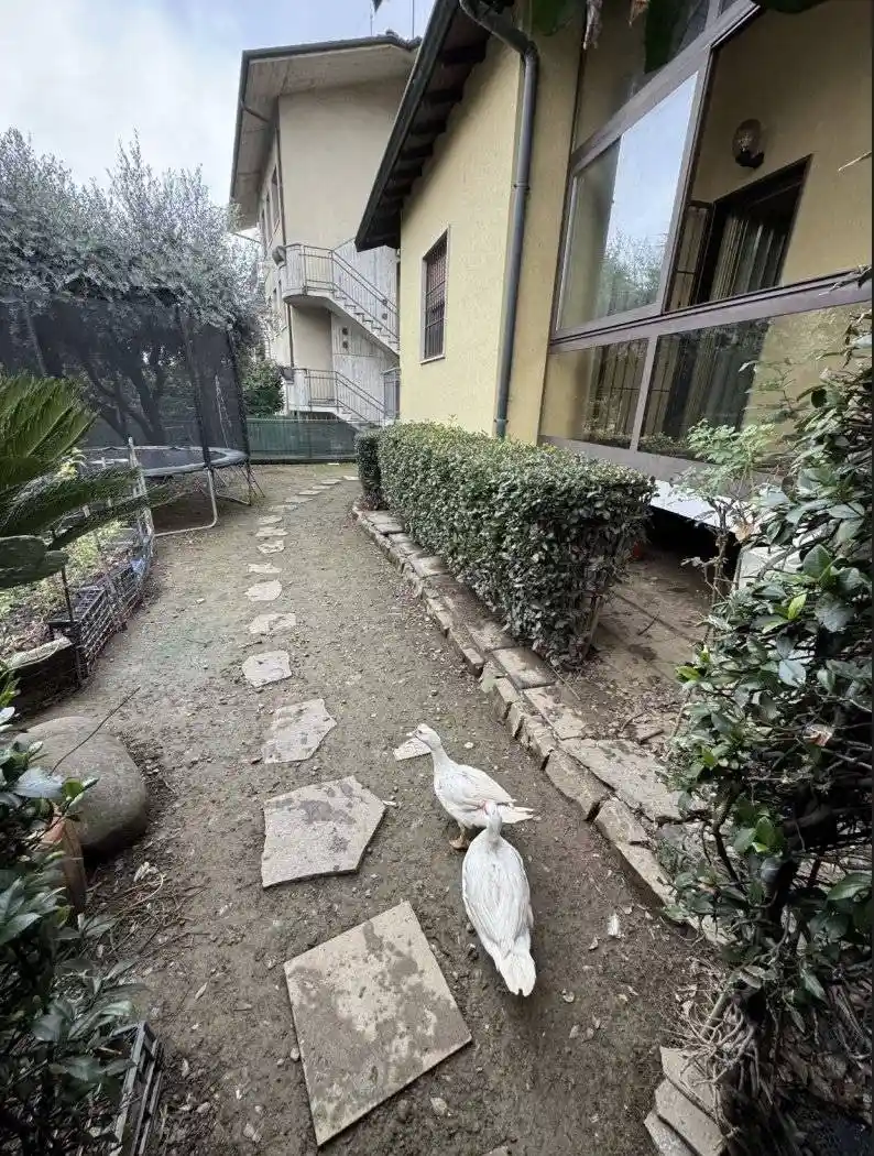 Villa in vendita a Brembate di Sopra