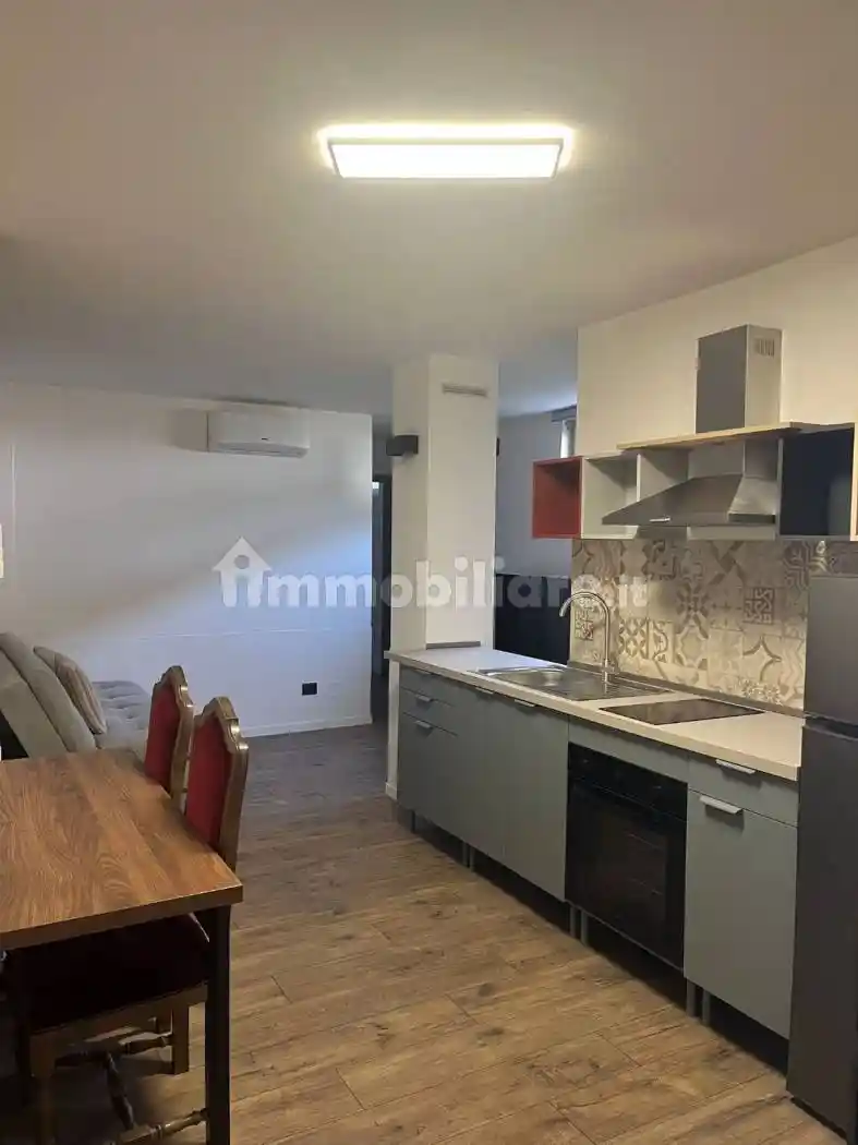 Appartamento in affitto a Borgo Ticino