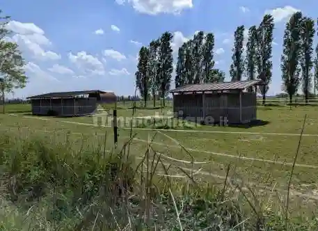 Palazzo - Stabile - foto 5