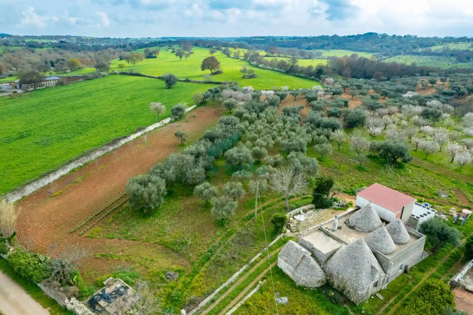 Rustico - Casale in vendita a Monopoli