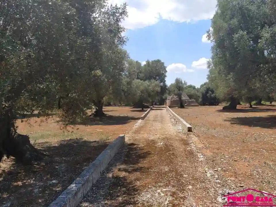 Rustico - Casale - foto 5