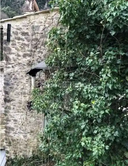 Casa indipendente in vendita a Arrone