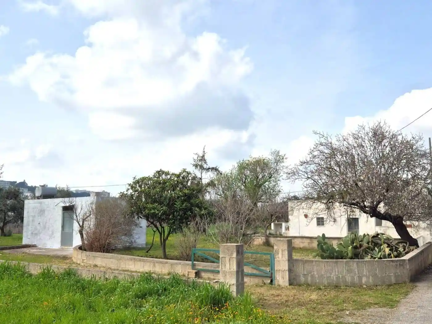 Rustico - Casale in vendita a Martina Franca