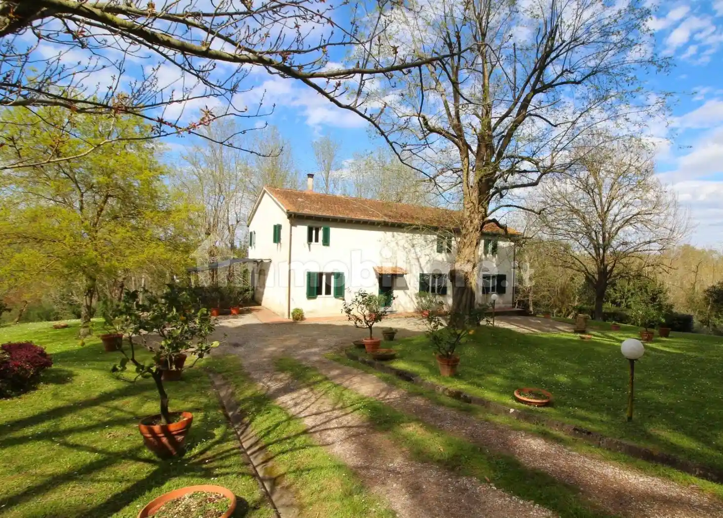 Rustico - Casale in vendita a Fauglia