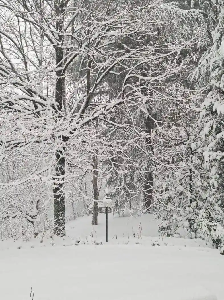 Appartamento in vendita a Altavilla Vicentina