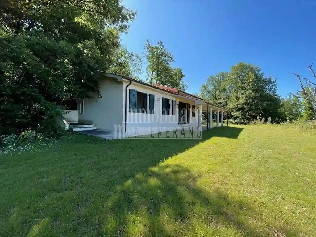 Rustico - Casale - foto 4