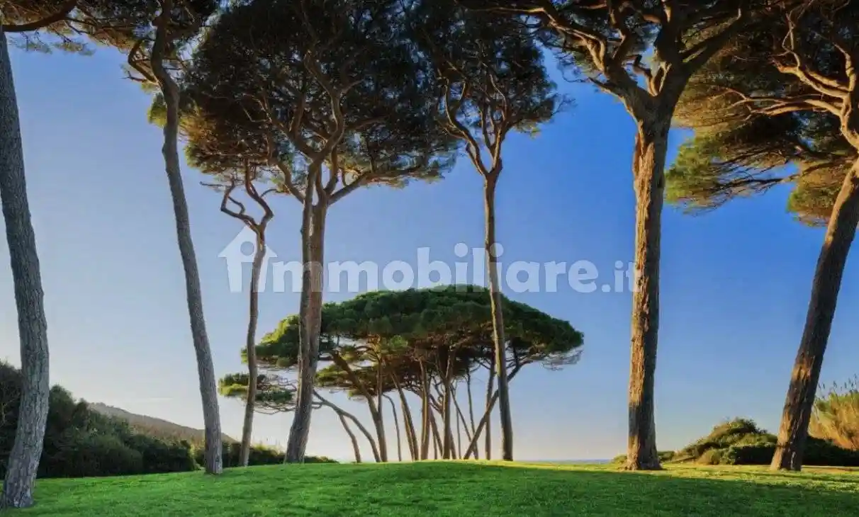 Villa in vendita a Forte dei Marmi