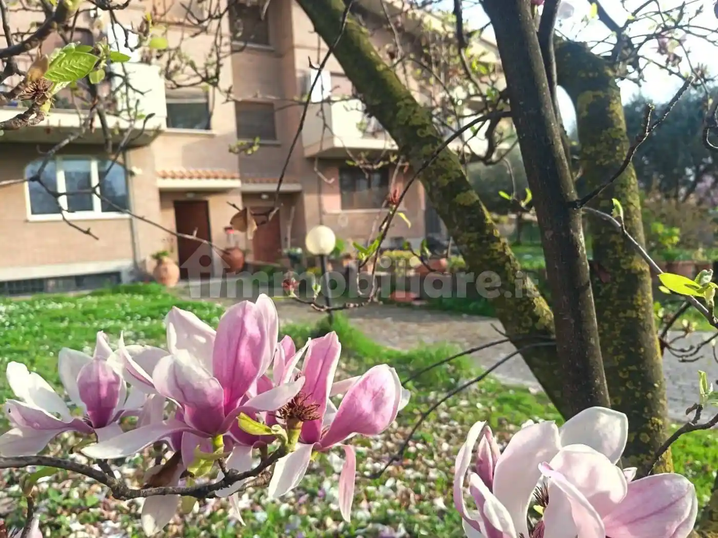 Villa in affitto a Roma