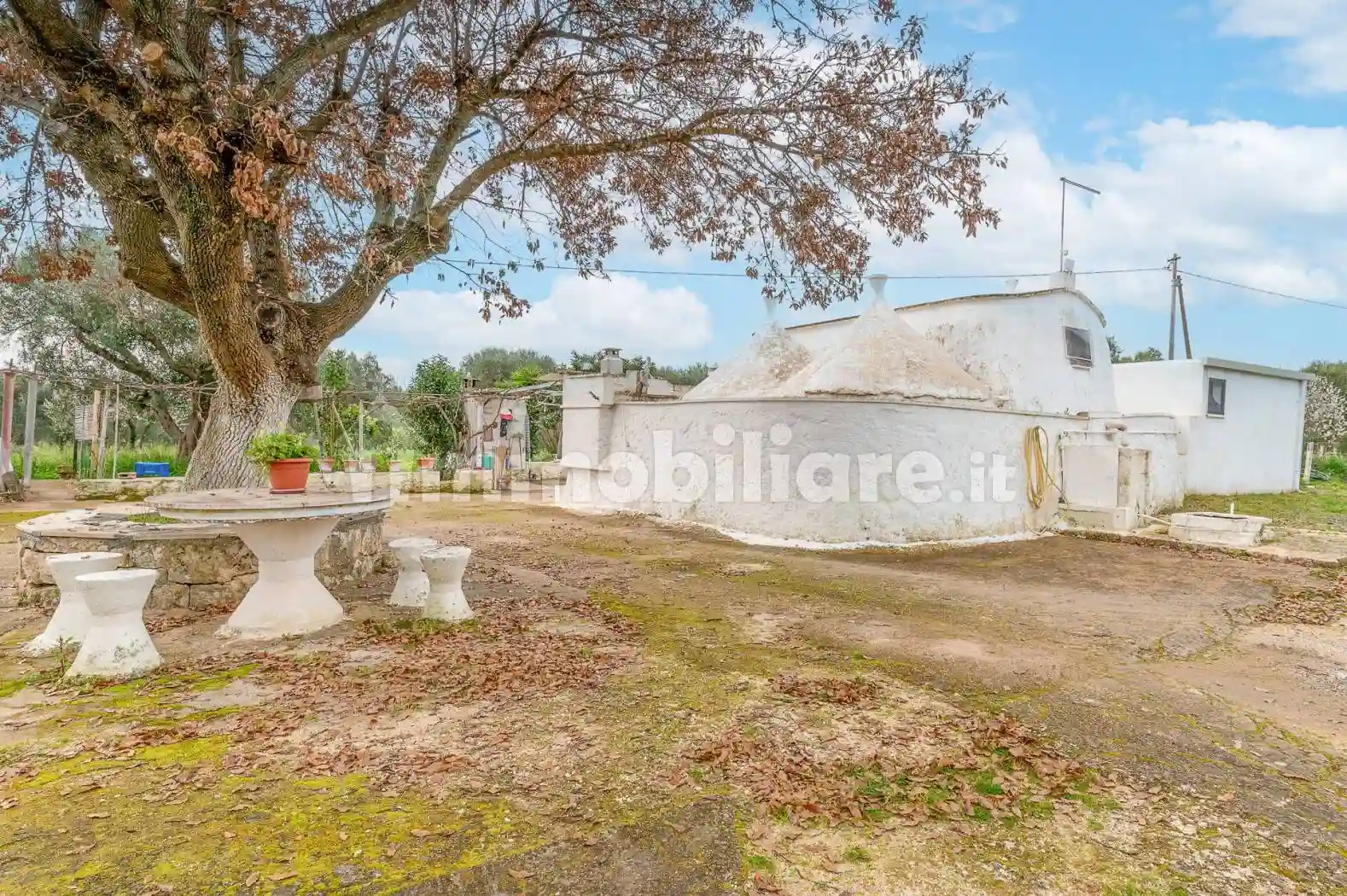 Rustico - Casale - foto 2