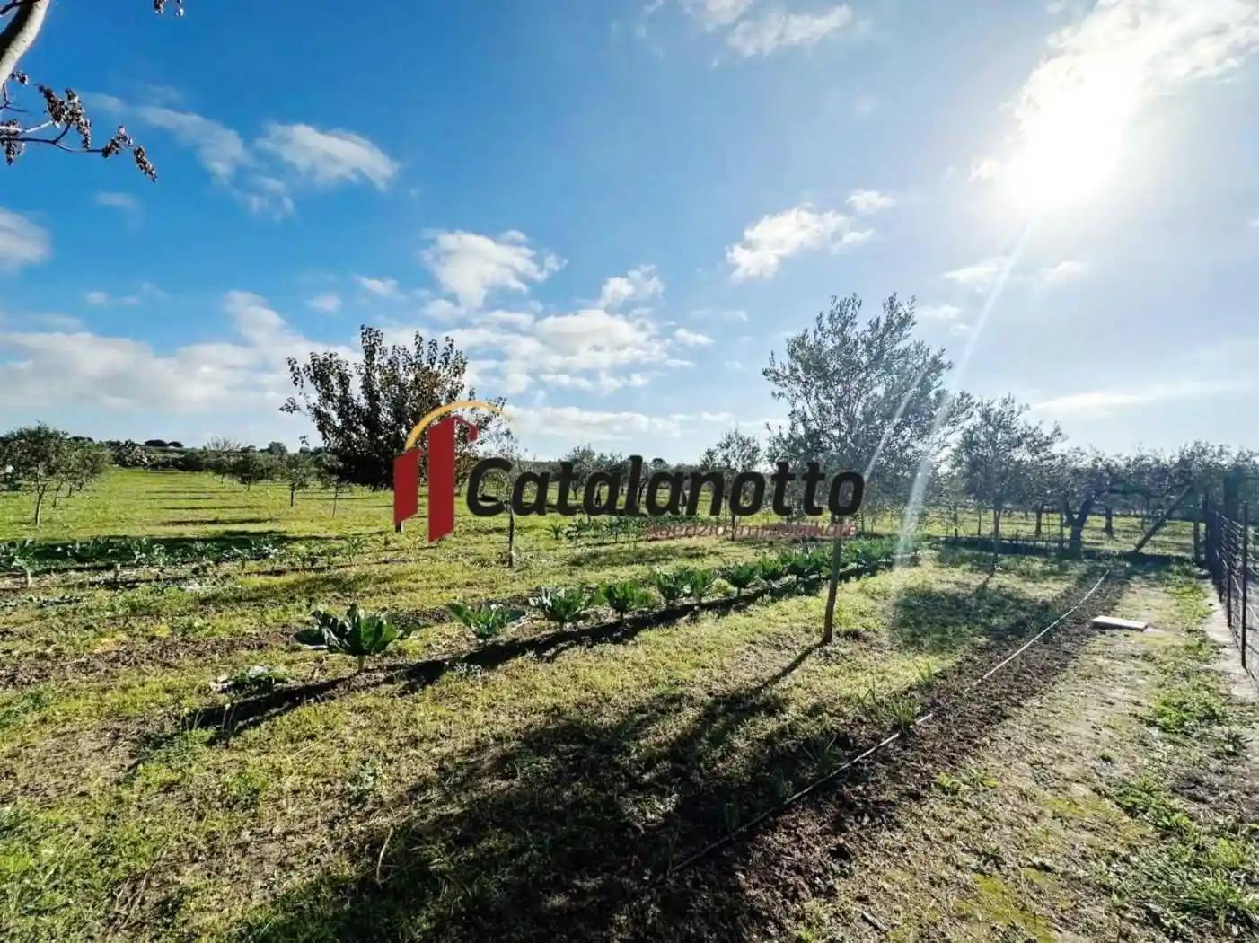 Rustico - Casale in vendita a Castelvetrano