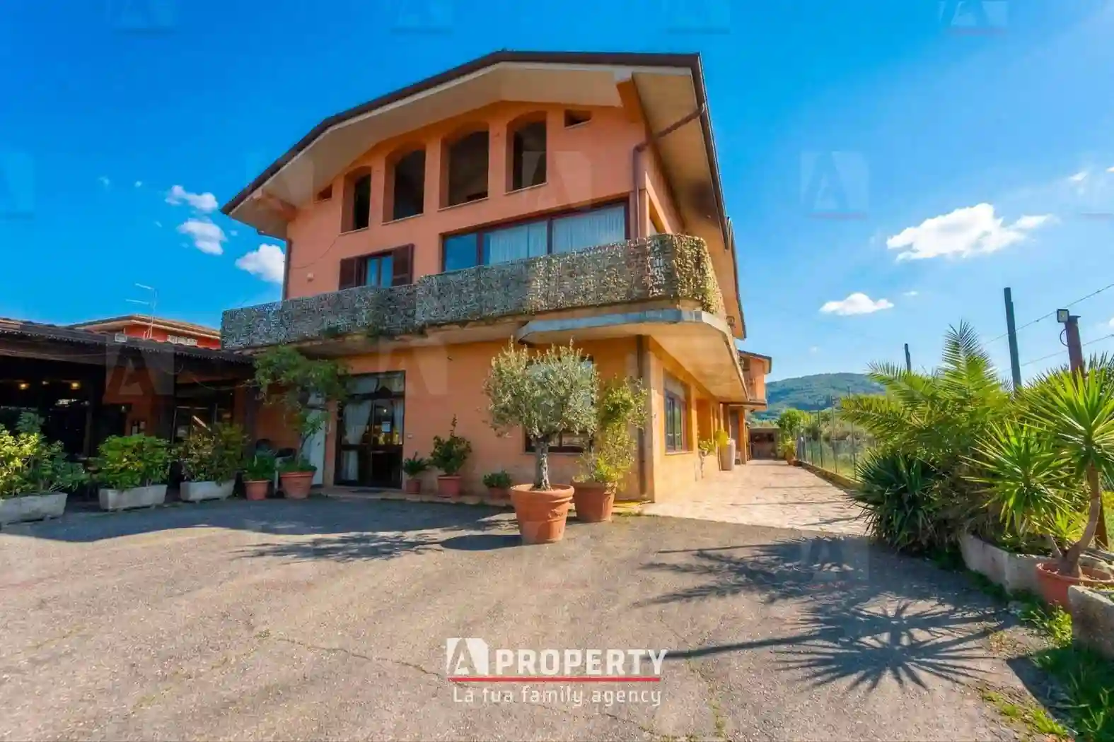 Palazzo - Edificio - foto 3