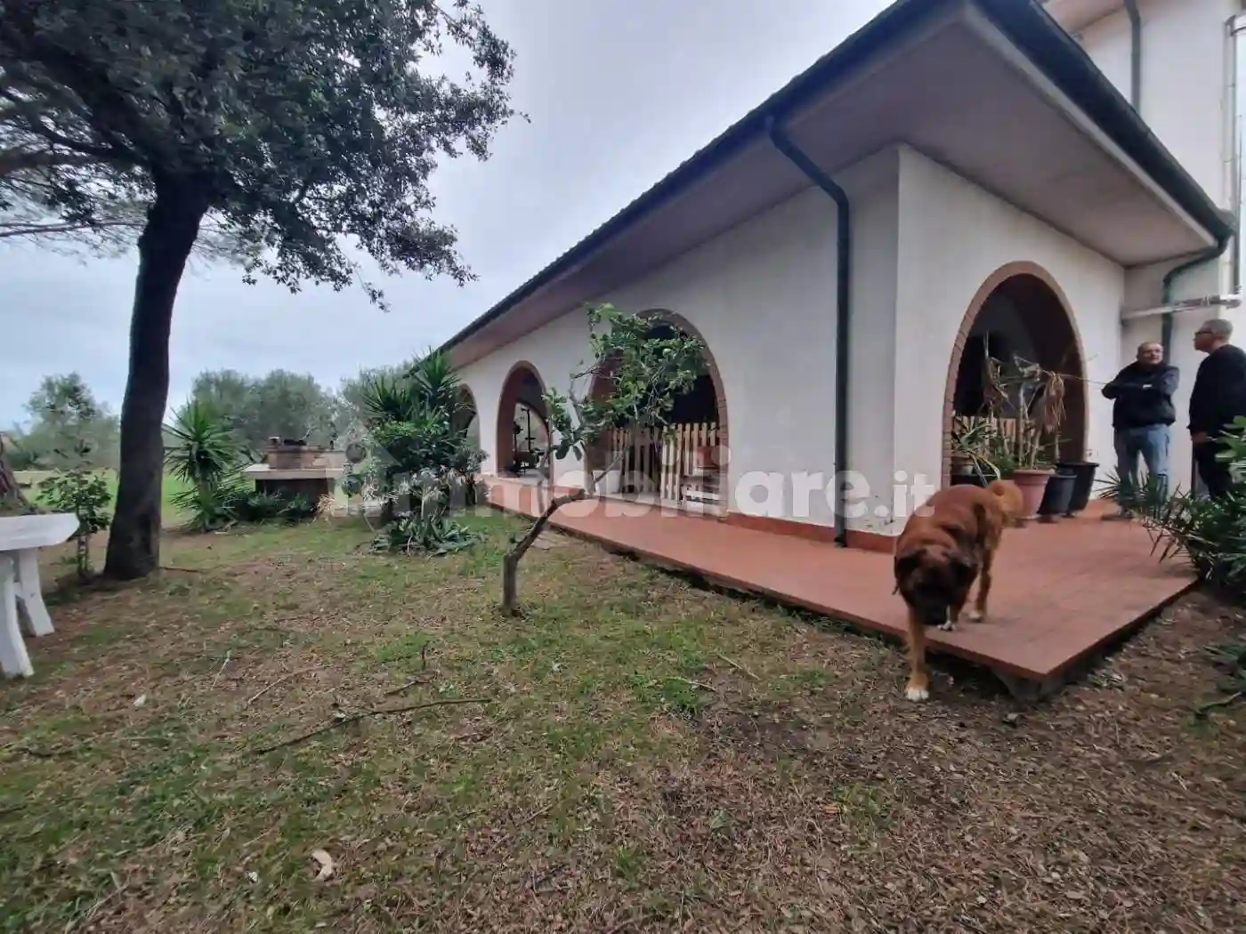 Rustico - Casale - foto 5