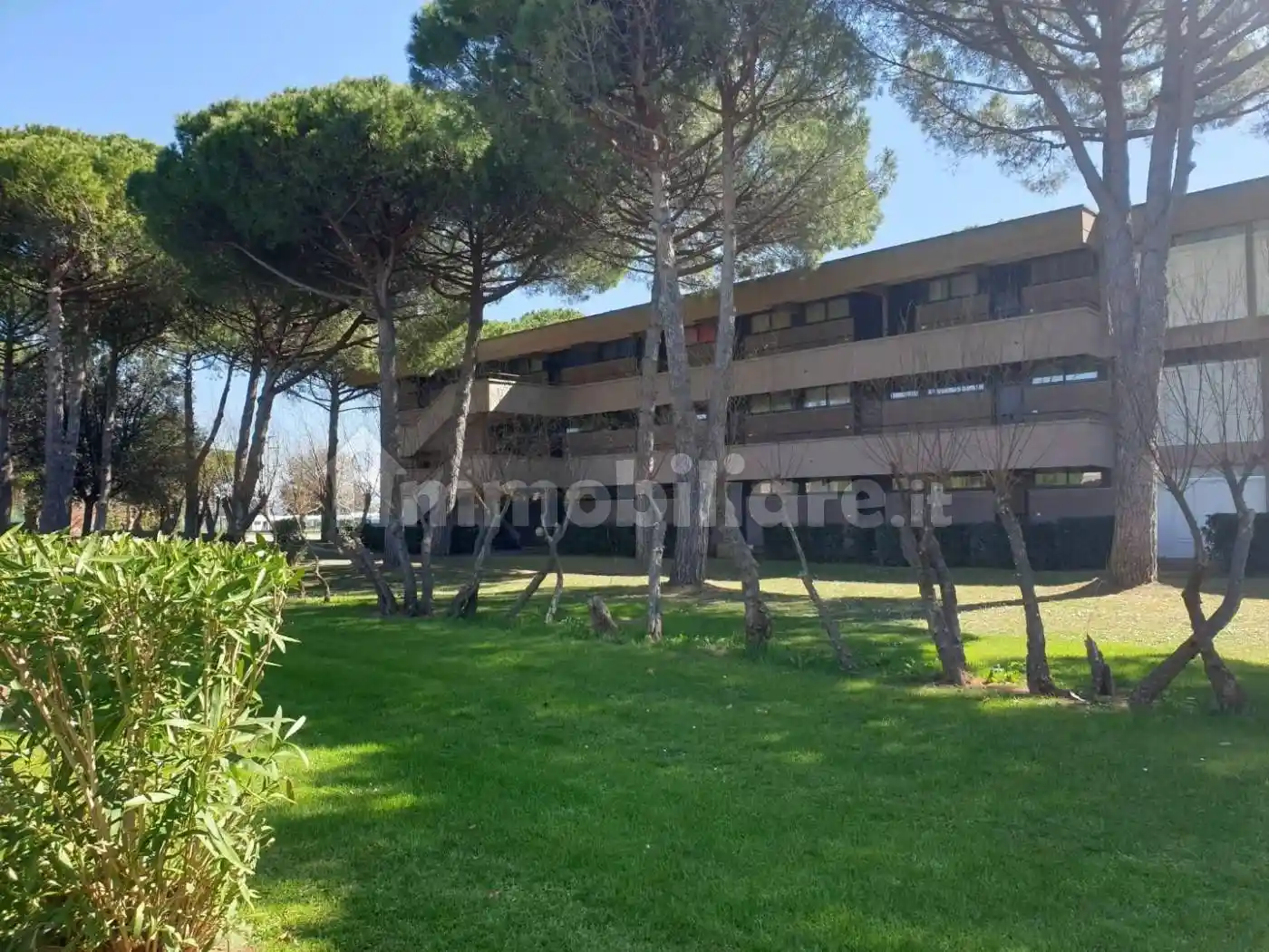 Appartamento in vendita a Bibbona