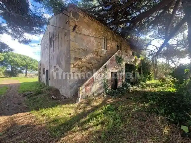 Rustico - Casale in vendita a Rosignano Marittimo