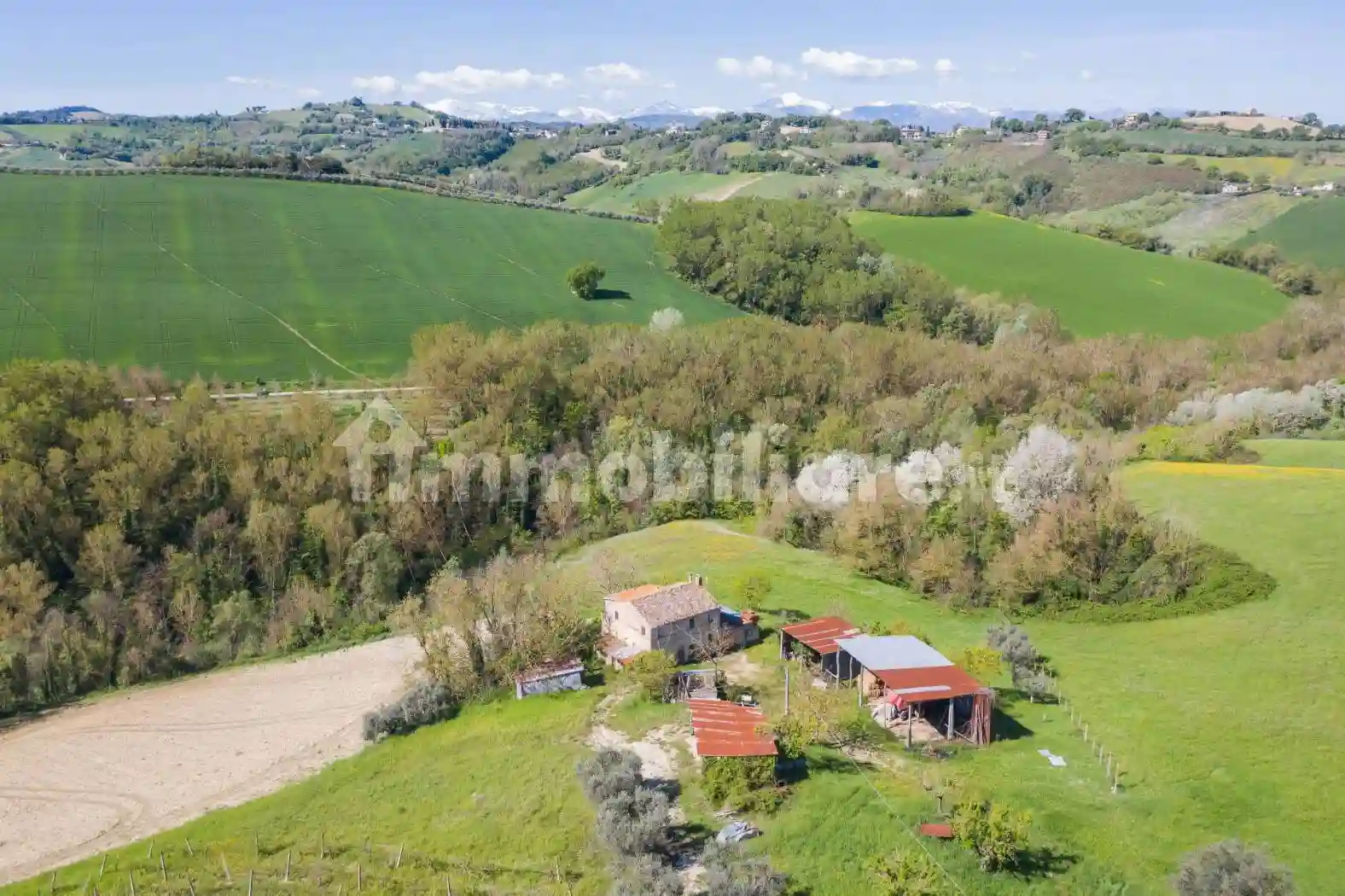 Rustico - Casale - foto 5