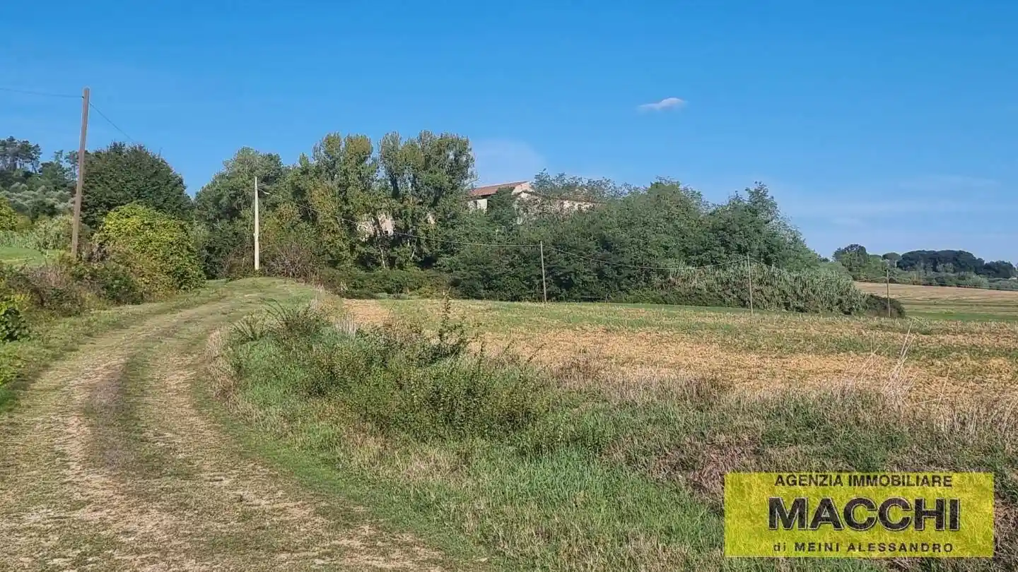 Rustico - Casale in vendita a Terricciola